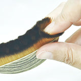 経絡バフィングフェイスブラシ